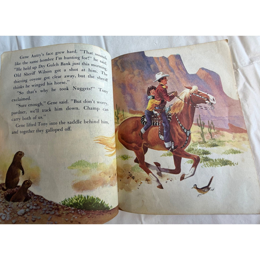 Image #13