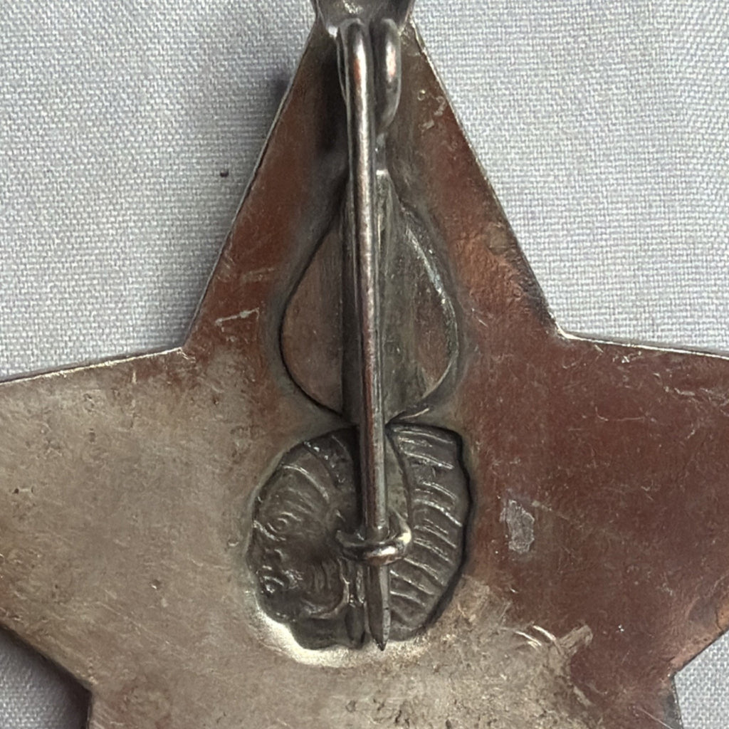 Apache Police San Carlos Arizona Star Badge Replica